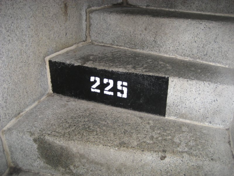 step225.jpg